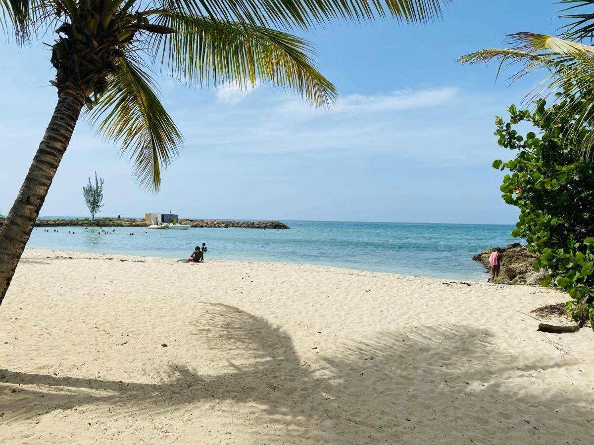 Vanille, A Proximite Des Plages, Idealement Situe Pour Visiter La Guadeloupe Ле-Гозьє Екстер'єр фото
